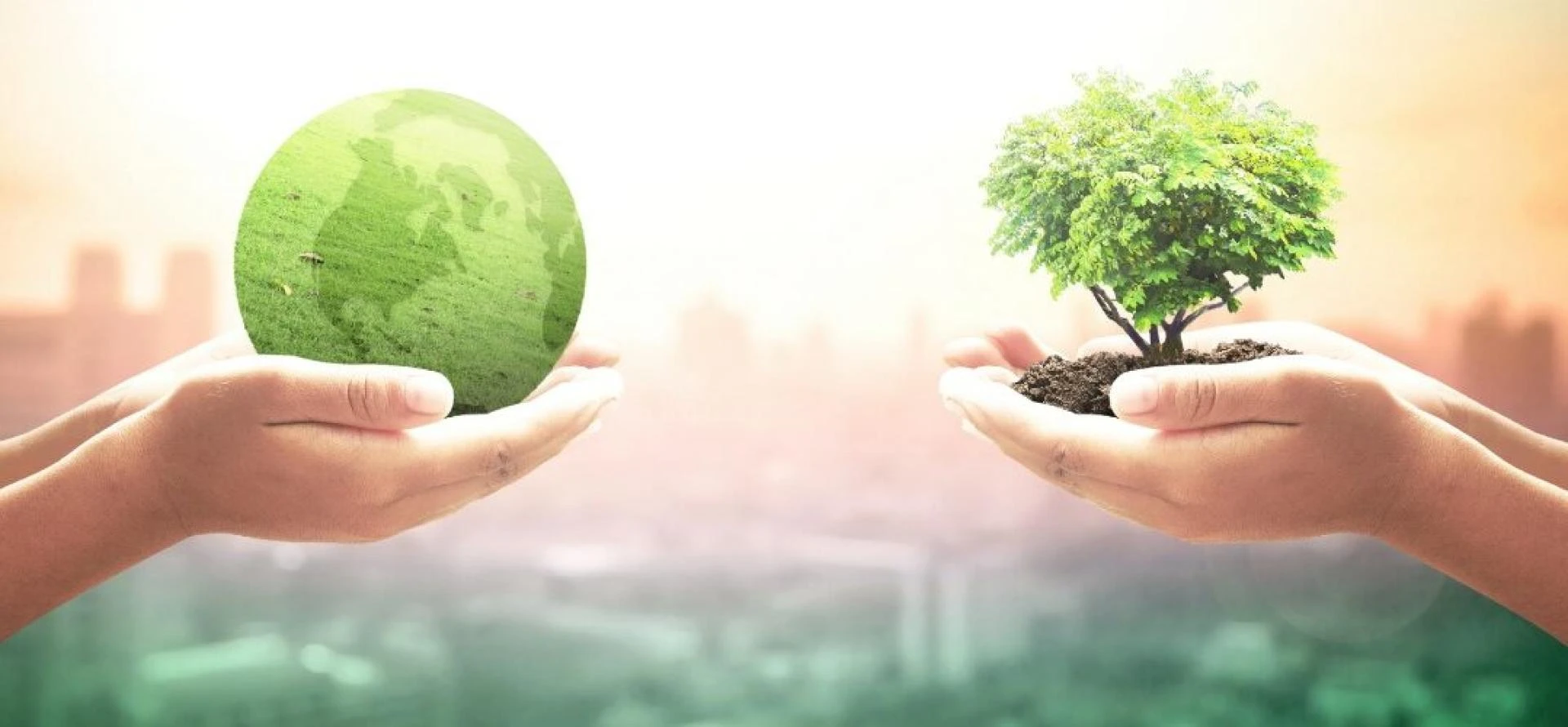 What Are Health Economics And Health Spending Growth In Pakistan?