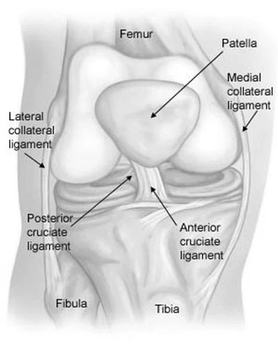 What to Expect from your Anterior Cruciate Ligament (ACL) Reconstruction Surgery
