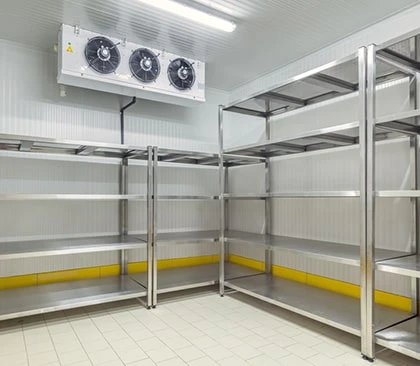 Cold Rooms &amp; Refrigeration: The Backbone of Temperature Control