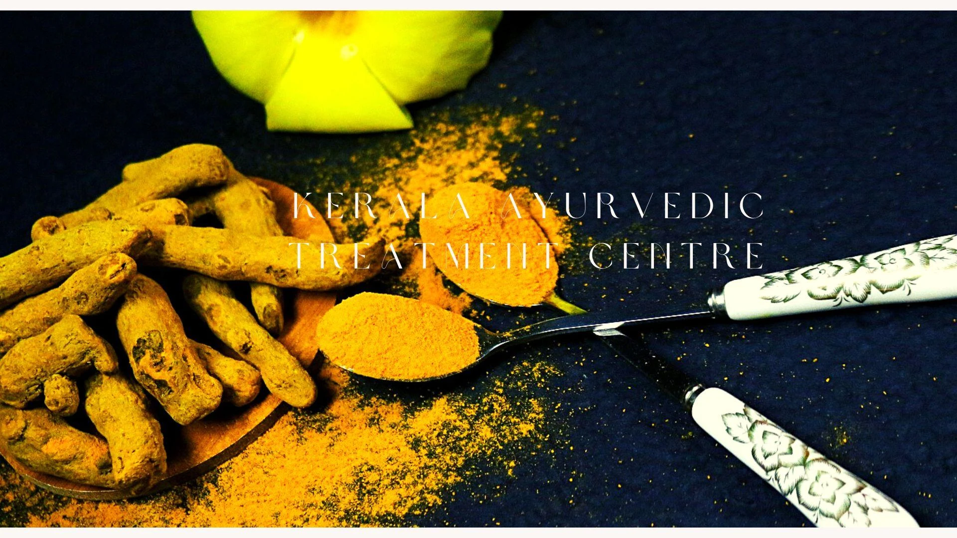 Specialties of Kerala’s Ayurvedic Treatment Centers