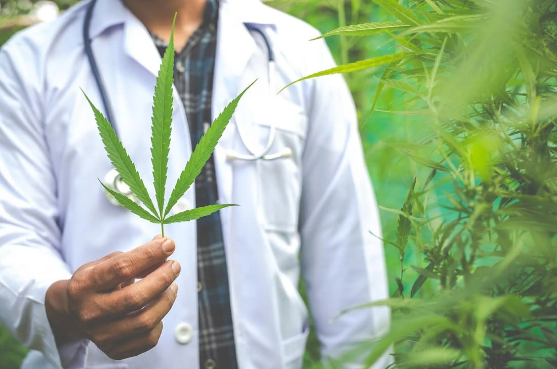 Find the Right Marijuana Doctor in Oklahoma for Consultation