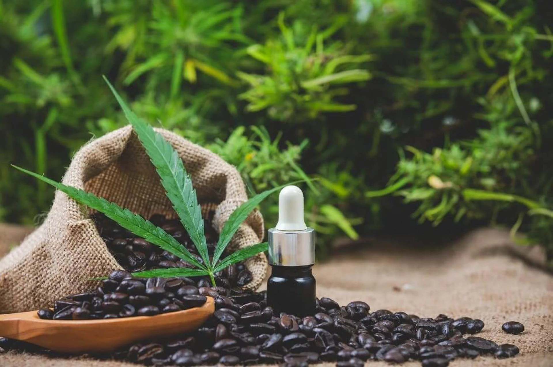 Get Your Growers License in Oklahoma