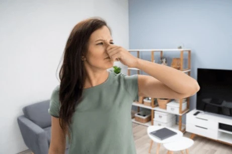 How to Get Rid of Bad Smell in the House
