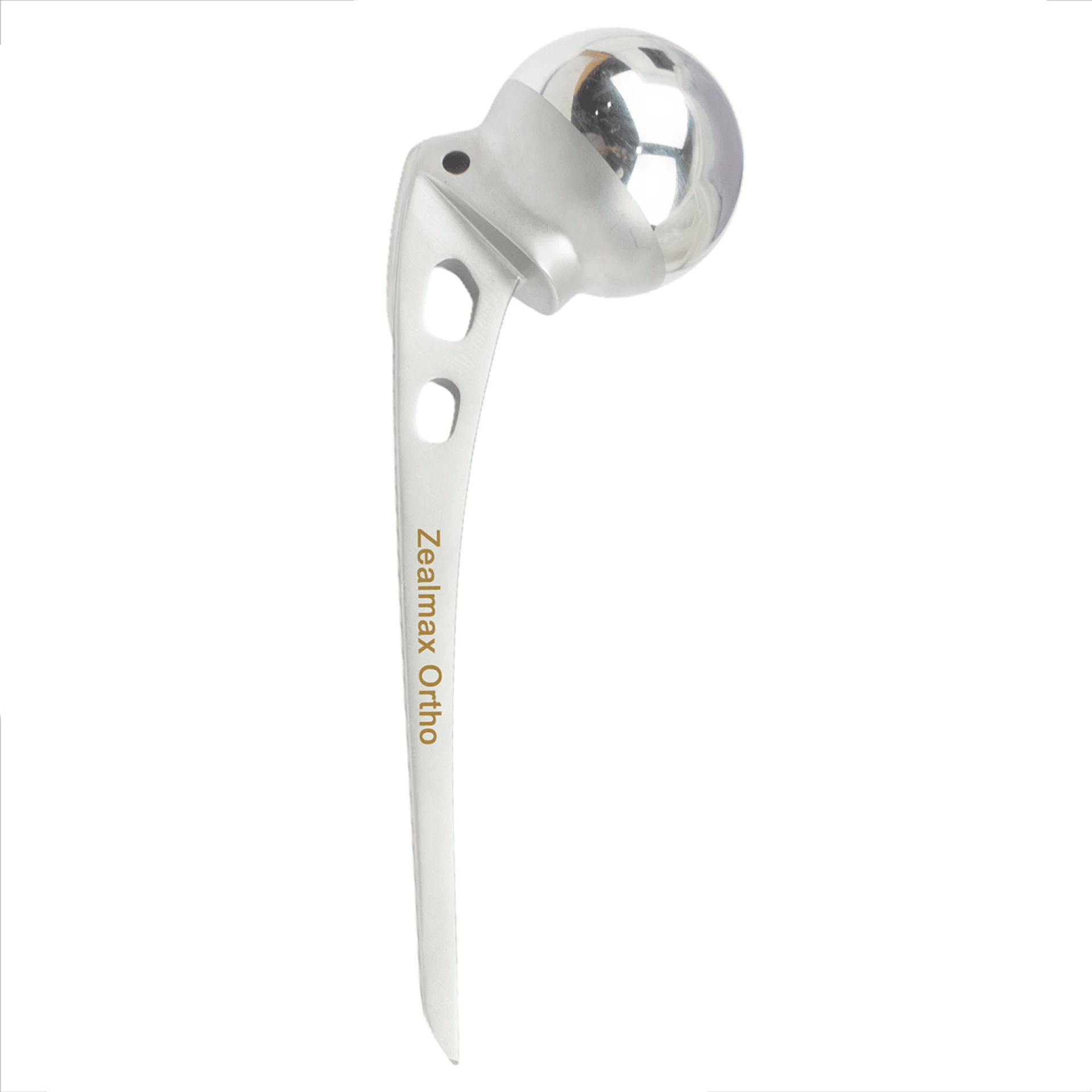 What is Hip Prosthesis and where is it used?