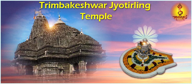 Rudrabhishek and Mahamrityunjay Mantra Jaap Pooja |Trimbakeshwar Tamrapatradhari Pandit