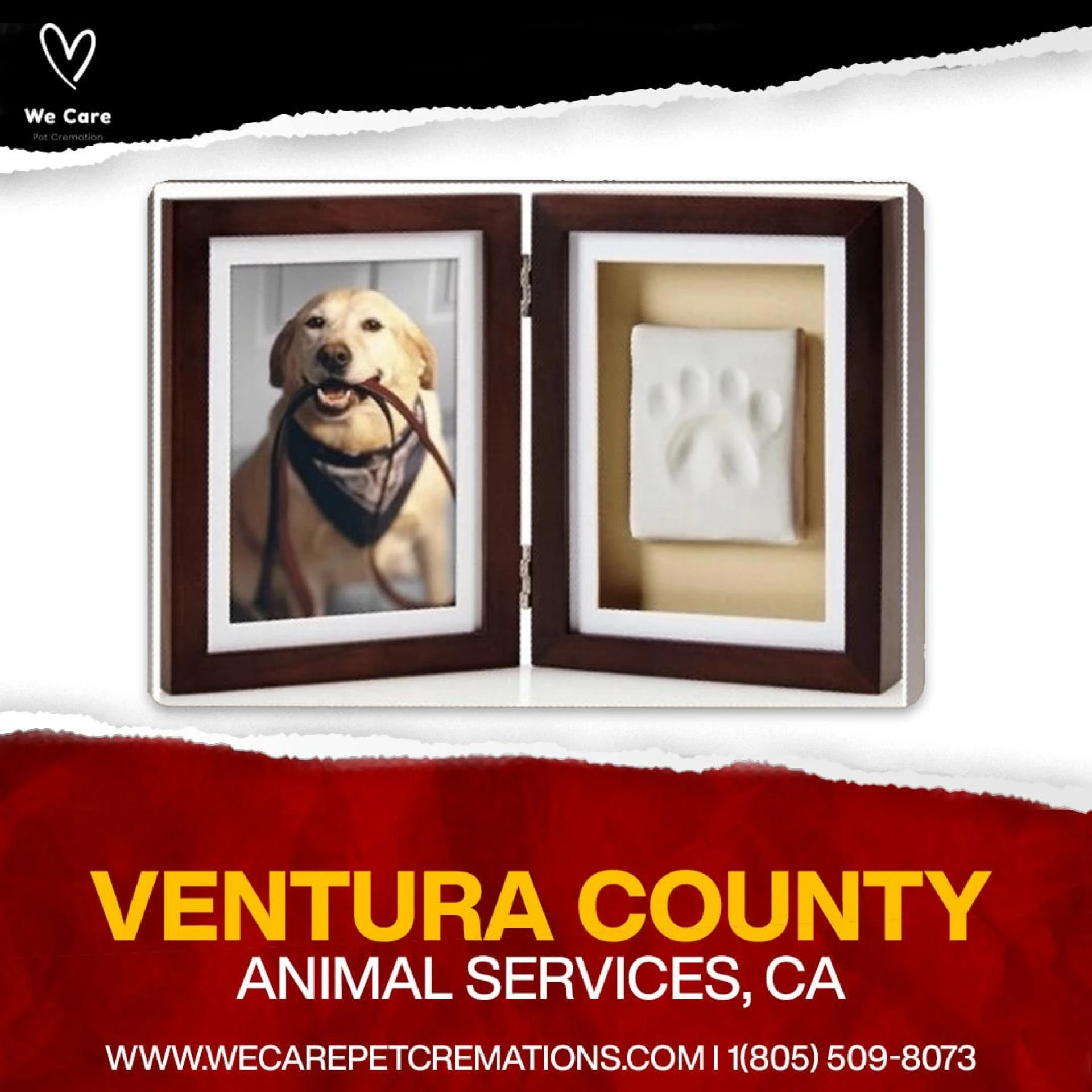 Why You Should Hire Animal Cremation Services in Los Angeles