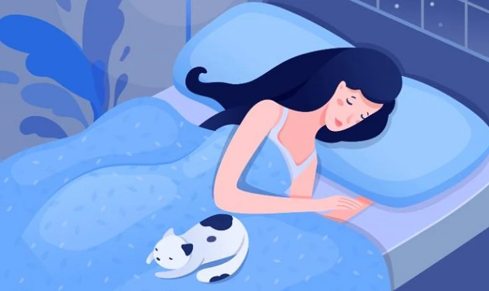 Insomnia What You Know And What You Don't