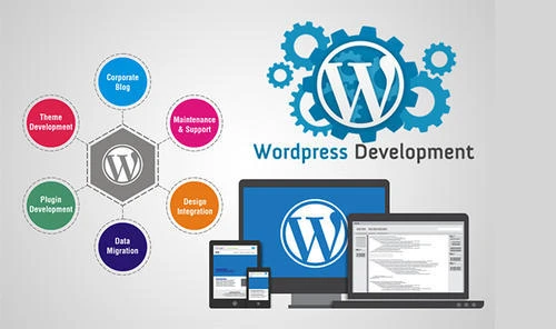 Wordpress Development Services Offer By Ray Software Solution
