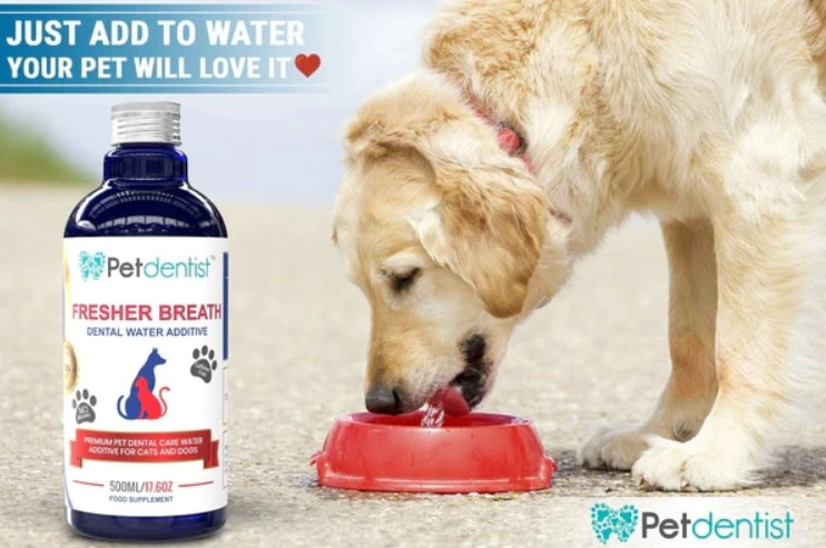 Unveiling the Benefits of Cat Probiotics and Specialized Dental Care for Dogs