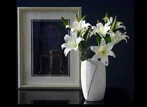 Shop for the Best Home Decorative Items For Your House