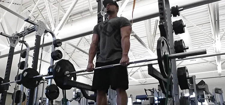 Target your trapezius by performing the barbell shrugs daily