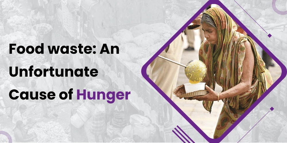 Food waste: An unfortunate cause of hunger