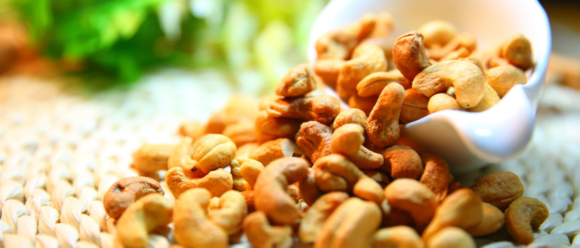 Where do you buy raw cashews?