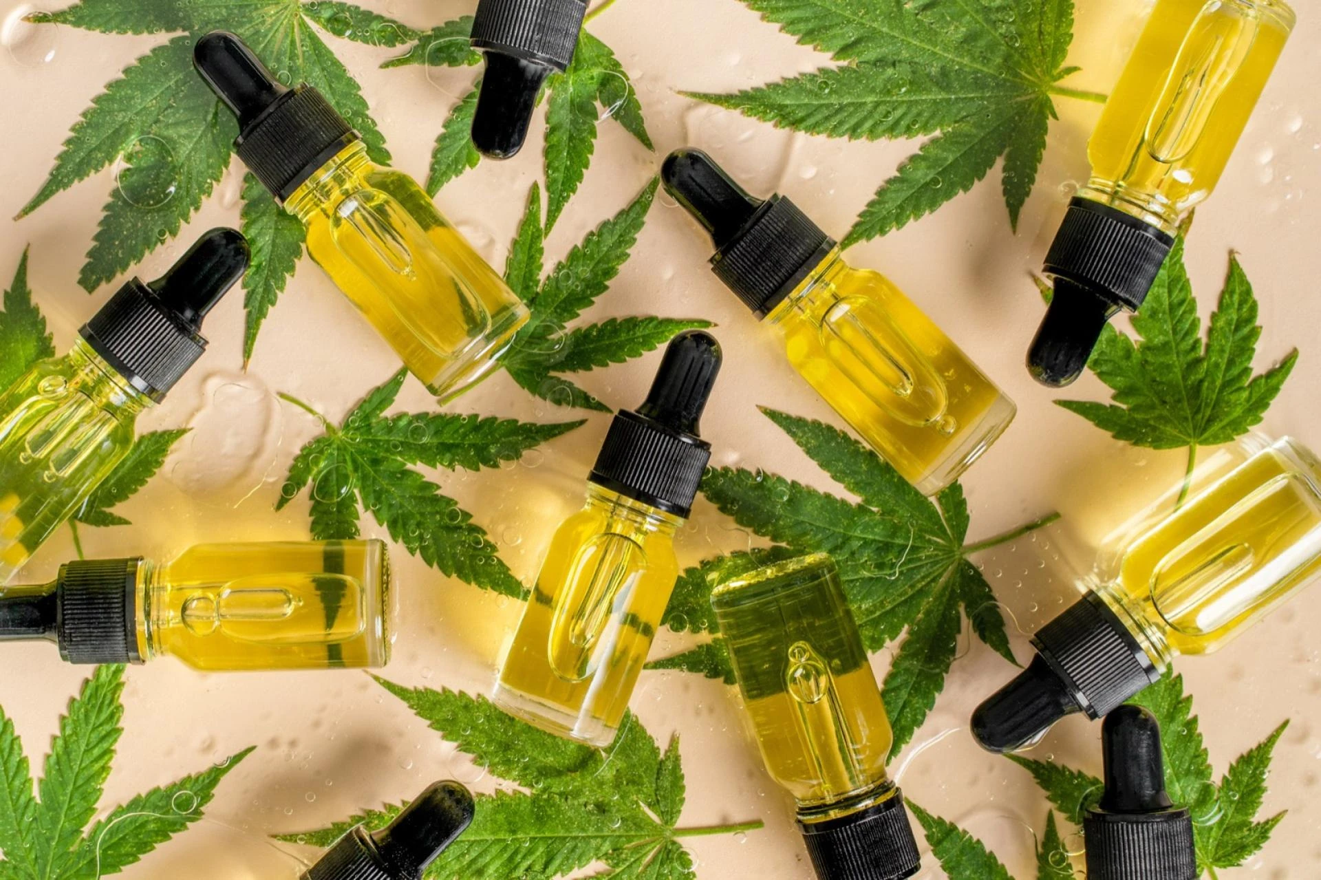 How To Buy CBD Oil Wholesale?