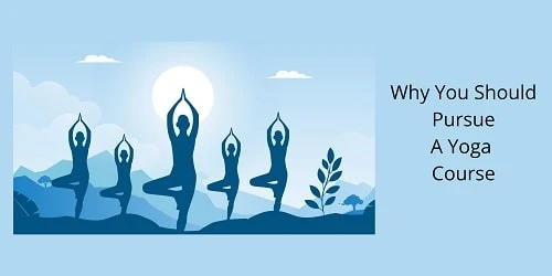 Why You Should Pursue A Yoga Course
