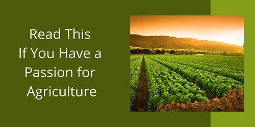 Read This If You Have a Passion for Agriculture