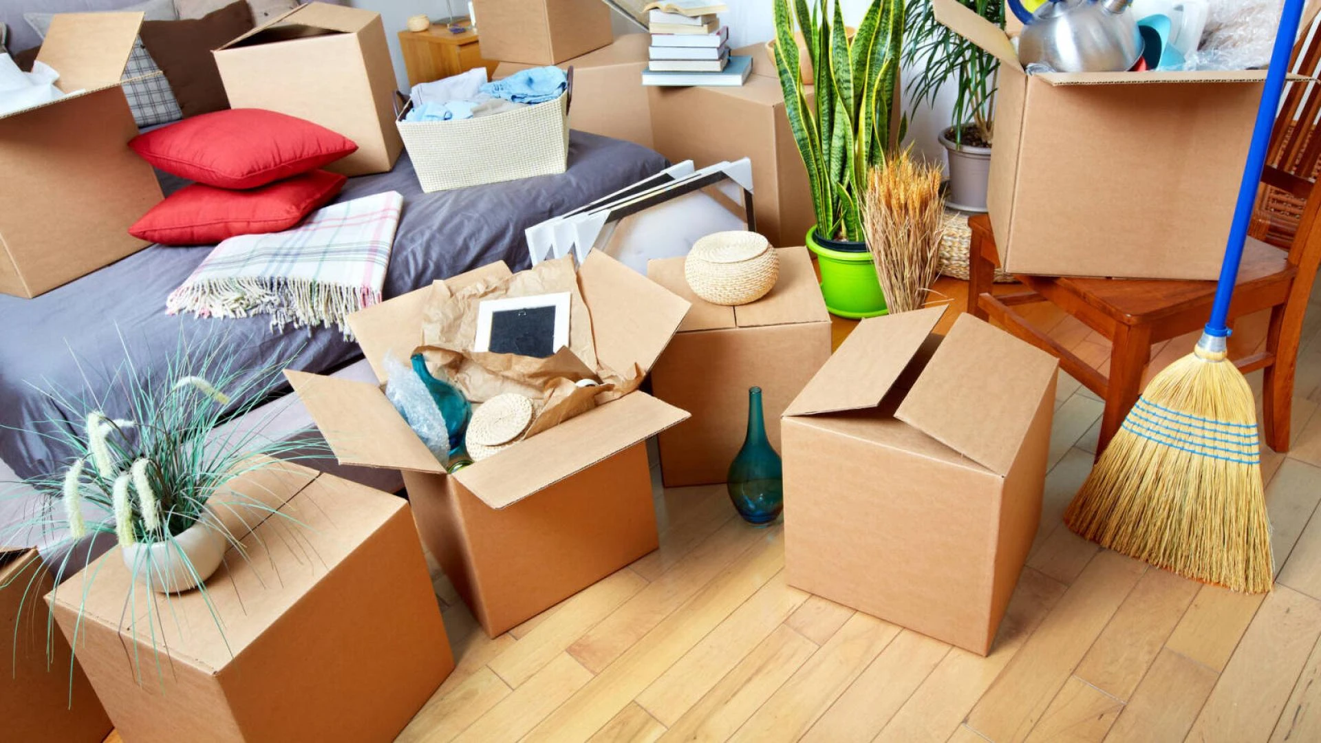 House Removals Near Me: Finding the Best Services for a Smooth Move