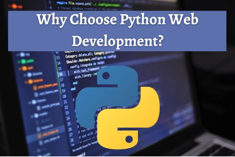 Why Choose Python Web Development?