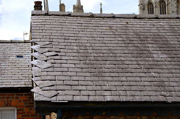 Why Should You Call A Pro For Tile Roof Repair Work?