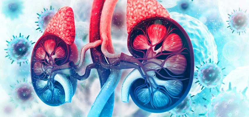 Everything You Need to Know About Kidney Failure