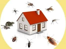 pest control services