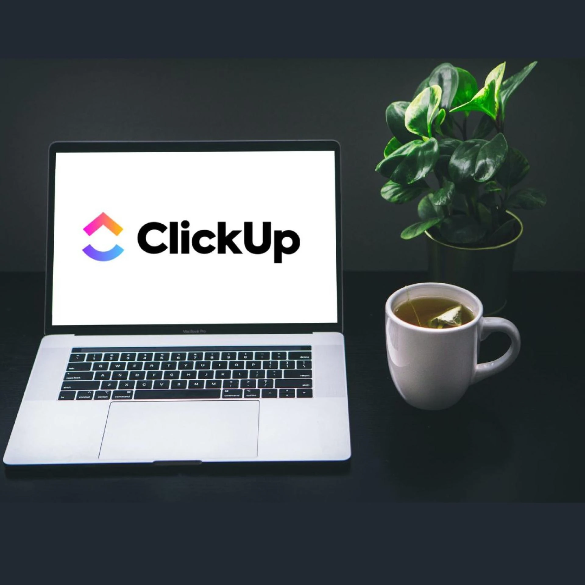Maximizing Efficiency: A Guide to ClickUp Consulting