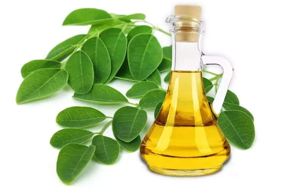 3 Amazing Benefits Of Moringa For Your Skin!