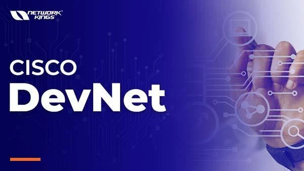 Cisco DevNet Course with Certification