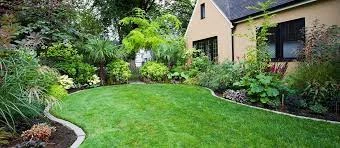 Best Landscaping Company In Dubai