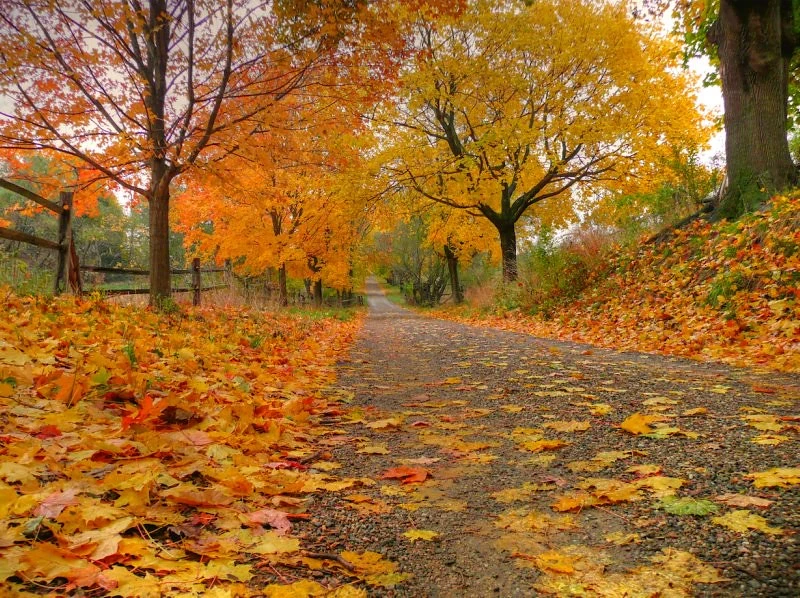 Top 10 Fall Season Fun Activities in New Jersey