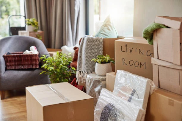 Using a Removalist vs. Doing It Yourself