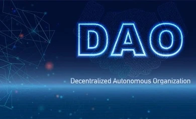 What is a DAO and what function do they perform in the Blockchain?