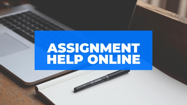Where To Find Online Assignment Help In USA