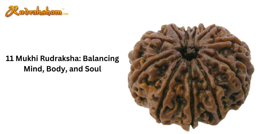 11 Mukhi Rudraksha: Balancing Mind, Body, and Soul