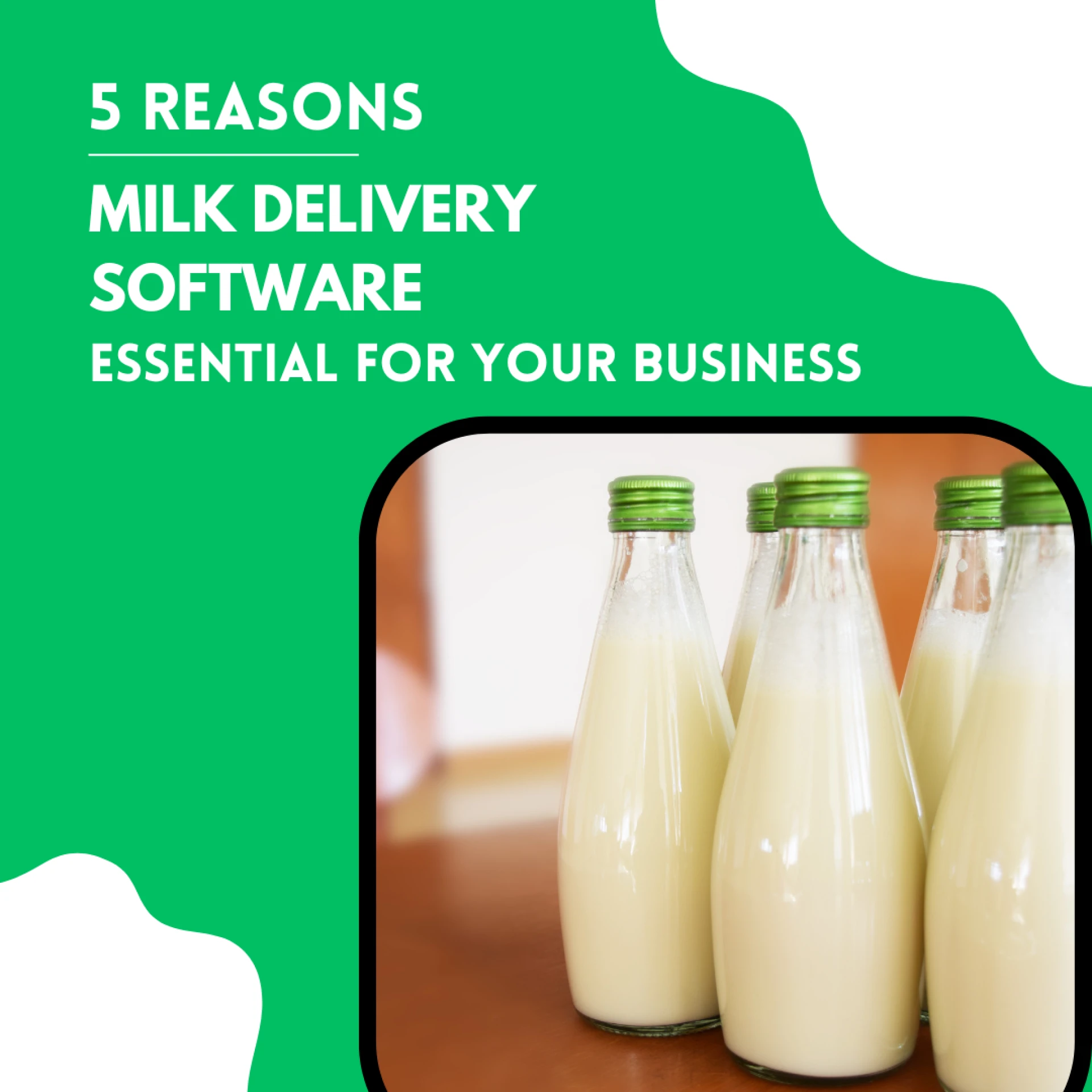5 Reasons Milk Delivery Software is Essential for Your Business