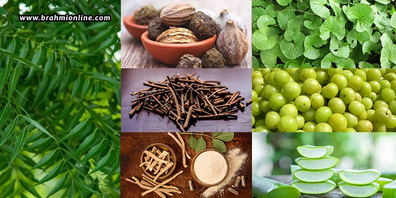 7 Amazing Unavoidable Ayurvedic Herbs For Your Health!