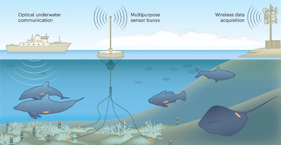 Marine Sensors Market Size: Trends, Drivers, and Future Projections