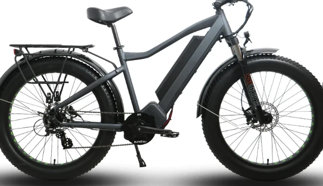 Charting New Horizons: The Electric Bicycle Phenomenon