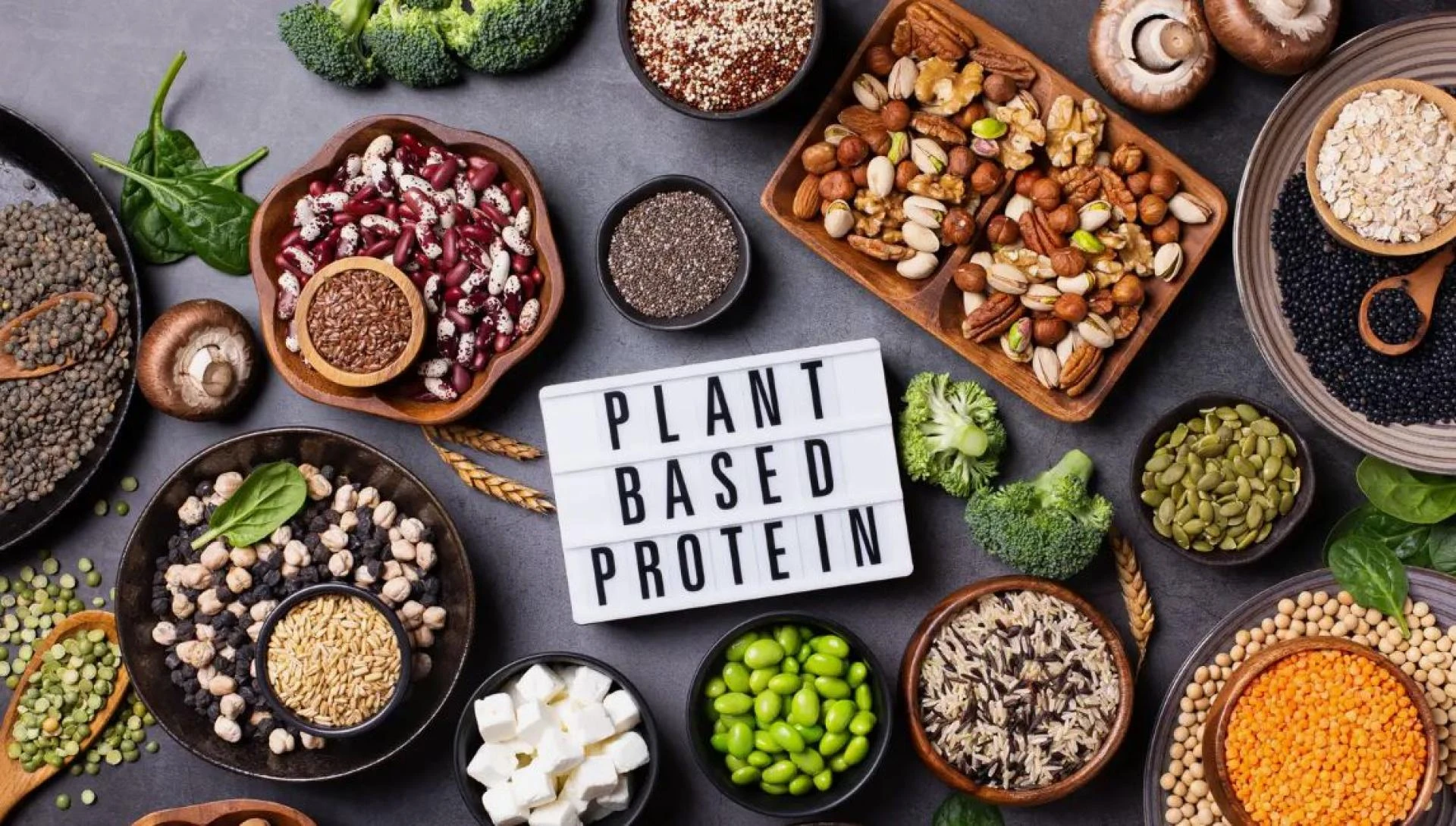 Exploring Excellence: Hydrolyzed Plant Protein Manufacturing Titans