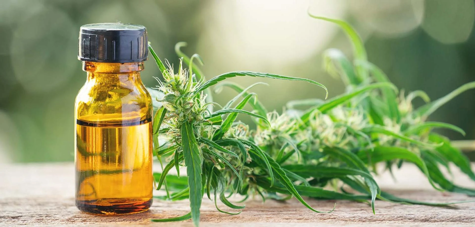 Breaking Down Barriers: The Rise of the Top 5 CBD Oil Manufacturers