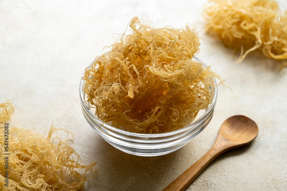 Exploring the Nutritional Powerhouse: The Science behind Sea Moss Gel
