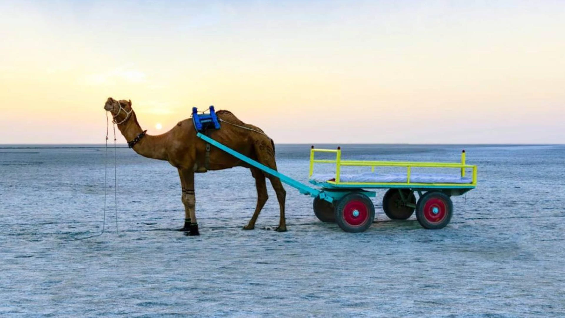 Visiting the Rann of Kutch? Here's How to Plan an Awesome Trip!