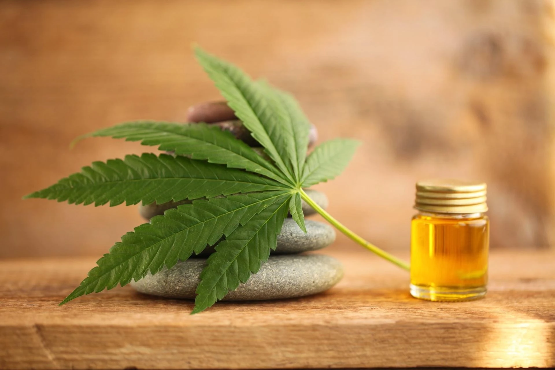 What You Need to Know About CBD Products