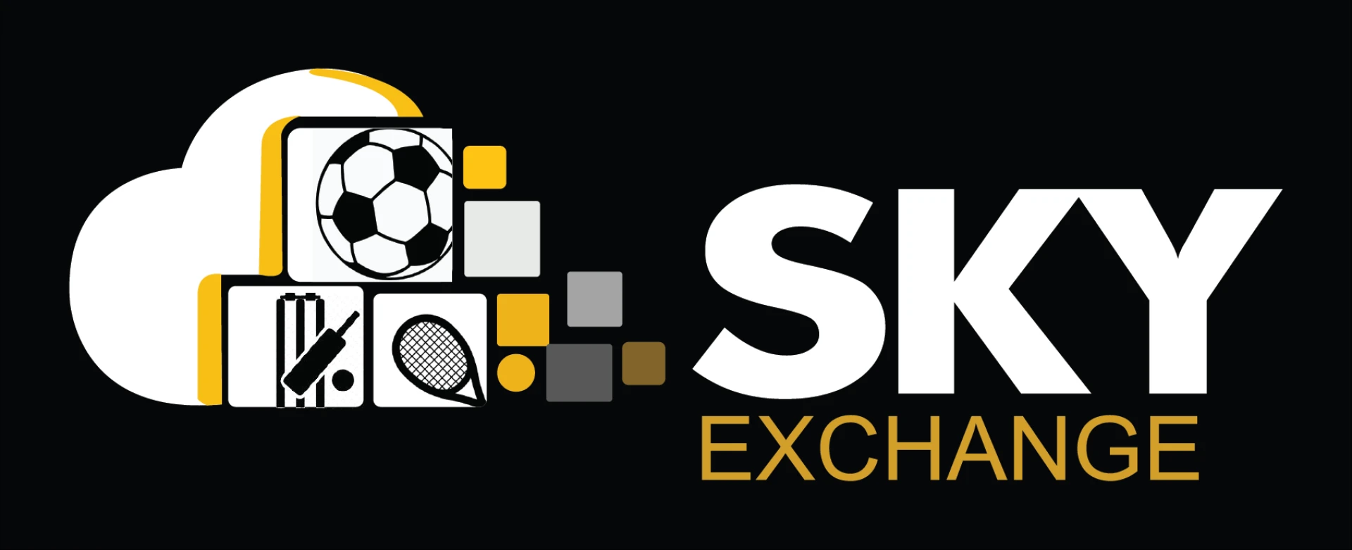 How to get a Skyexchange ID