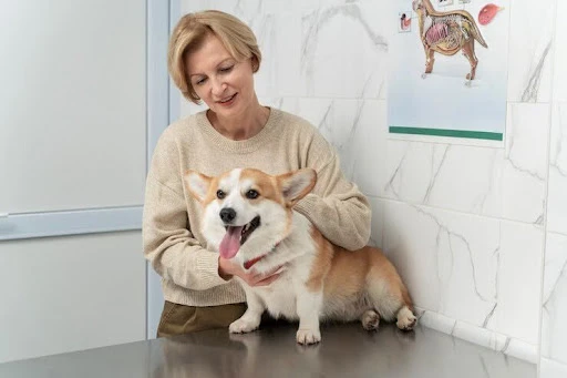 5 Benefits of Hiring a Professional Pet Sitter in Metairie, LA