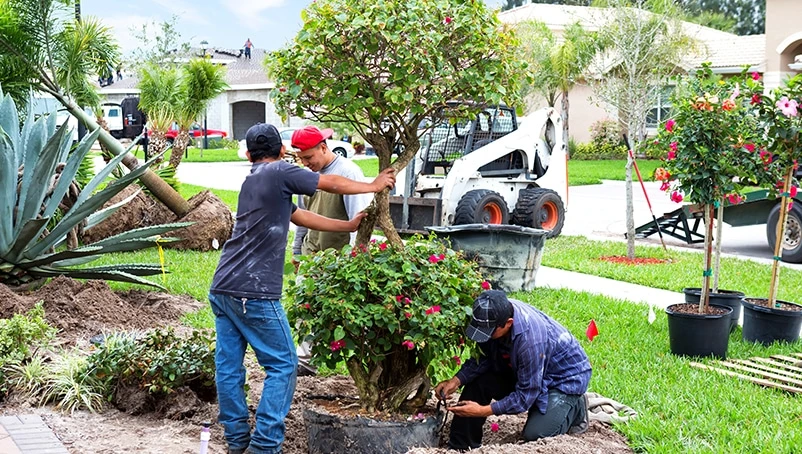 Crafting Nature's Masterpiece: Unveiling the Secrets of a Landscape Designer in Boca Raton