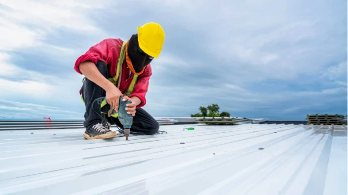 Should You Install a Steel Roof for Your Home? | Write Up Cafe