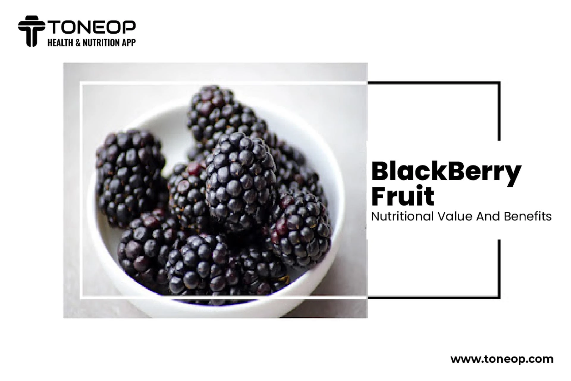 Blackberry Fruit: Health Benefits And Nutritional Value 