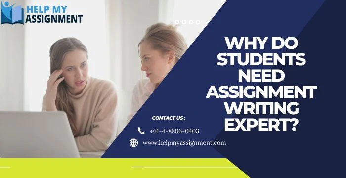 Why do Students Need Assignment Writing Expert?