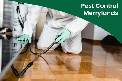 The Best Is Our Killex Pest Control